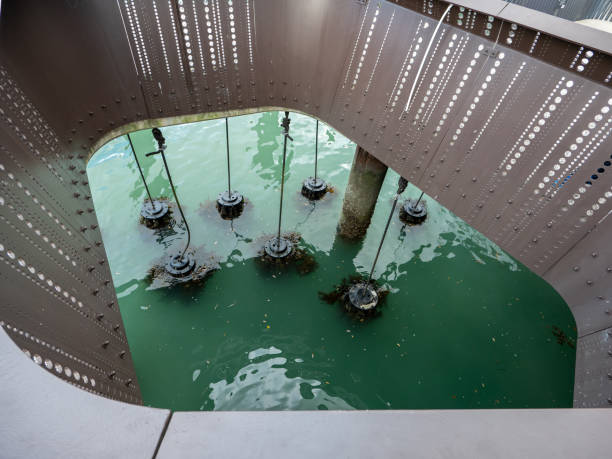 Auckland ferry basin sea viewing platform