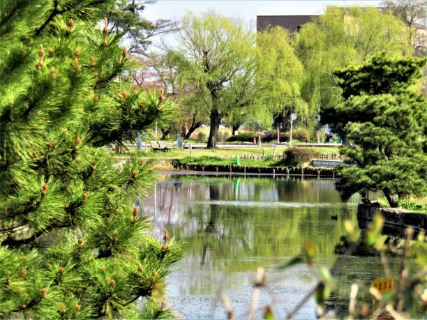 istock Japan. April. Park in the City. Impression. 1452982473