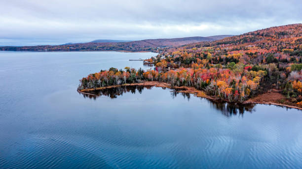 Autumn Colors in Forest, Drone view of Cape Breton Island, Forest Drone view, Colorful Trees in Jungle, Forest Drone View, Island Drone view, Autumn Colors in Jungle, Mountain Landscape Fall Colors stock photo