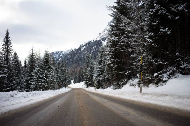 istock Road surrounded by snowy trees on a cloudy day 1452990847