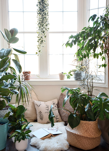Cozy nook by a large bay window with multiple houseplants and a book