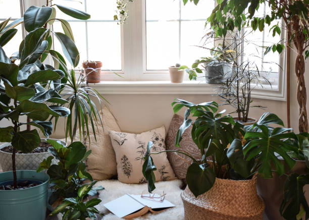 уютный уголок у окна с комнатными растениями и книгой - nook стоковые фото и изображения
