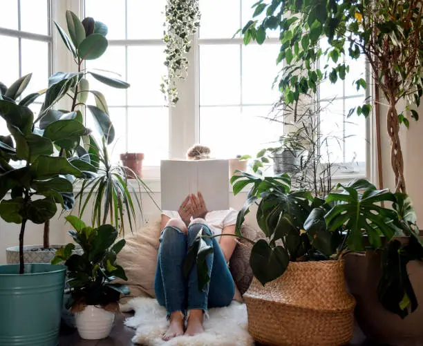 Young girl sitting in a cozy nook by a large bay window with houseplants reading a book covering her face