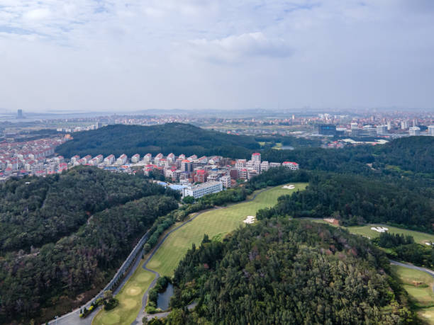 istock Green park and dense villas in town 1453001717