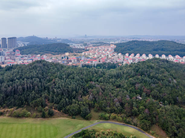 istock Green park and dense villas in town 1453001747