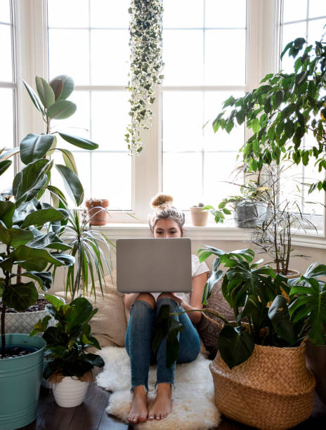 istock Young girl sitting by a window with houseplants using laptop computer 1453001766