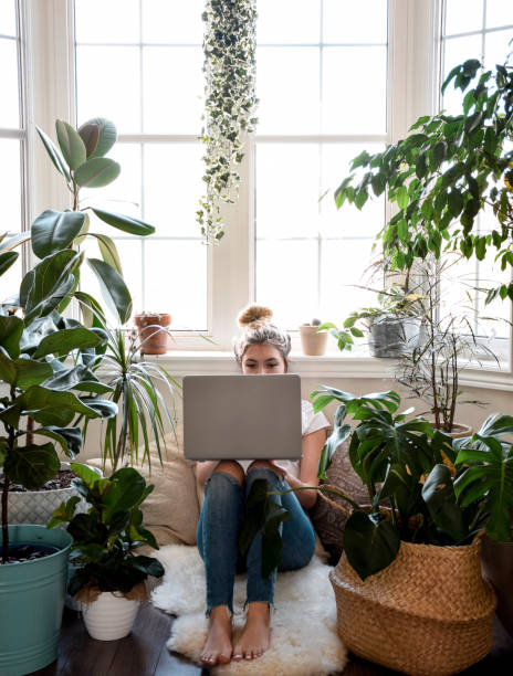 menina sentada por uma janela com plantas de casa usando o computador portátil - janela saliente - fotografias e filmes do acervo