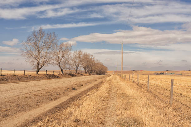 paisagem de uma estrada secundária da pradaria - alberta prairie farm fence - fotografias e filmes do acervo