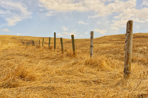 istock Fence line disappearing in the distance in a meadow 1453006686