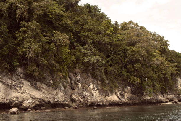 istock view of the hills by the beach 1453016331