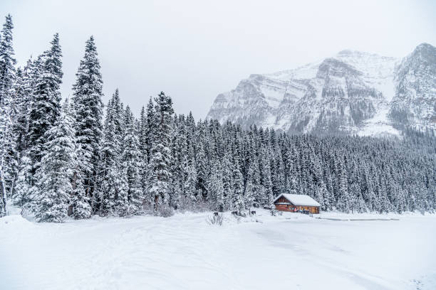 istock Lake Louise in Banff Park 1453018927