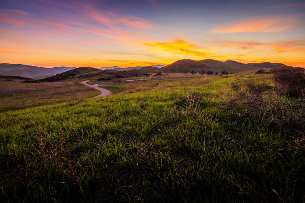istock Sneaking Thru Santa Monica Mountains 1453019073