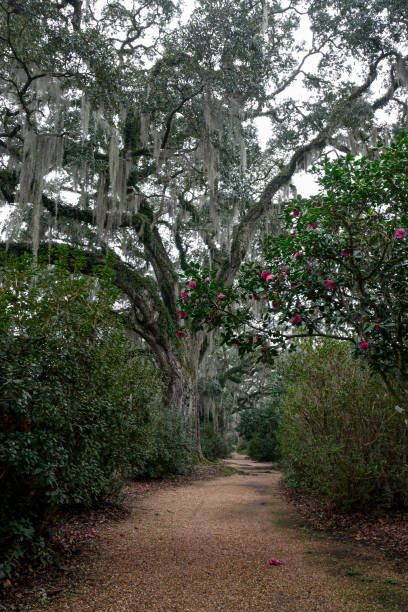 istock Beautiful Path in Garden 1453019195