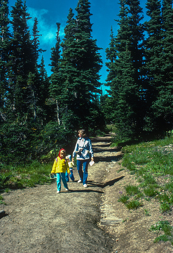 Mount Rainier National Park - On Trail at Sunrise Area - 1983. Scanned from Kodachrome 25 slide.