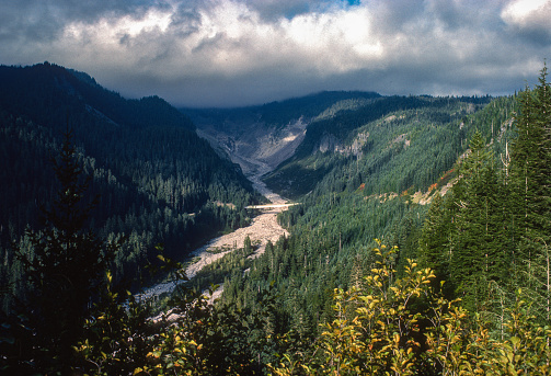 Mount Rainier National Park - Nisqually Valley - 1983. Scanned from Kodachrome 25 slide.