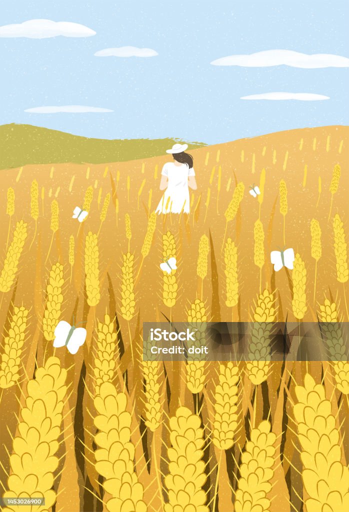 Rural field with ripe wheat and woman, Cereal rye field. Yellow gold autumn agricultural plant. Agricultural wheat harvest. Blue sky, Cloud watercolor. Hand drawn style. Flat vector illustration. Vector design illustrations. Agricultural Field stock vector