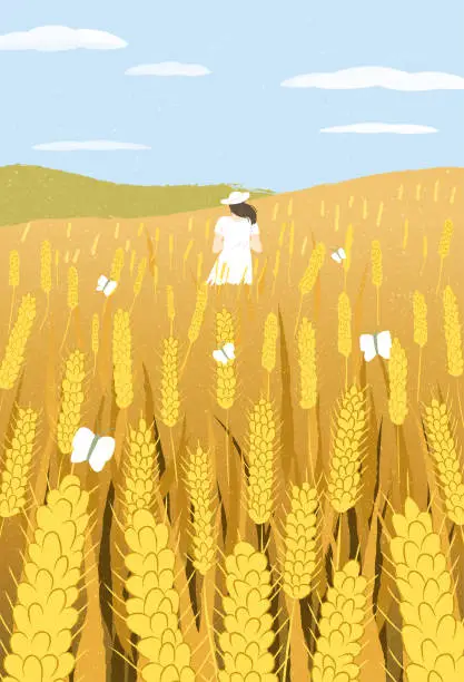 Vector illustration of Rural field with ripe wheat and woman, Cereal rye field. Yellow gold autumn agricultural plant. Agricultural wheat harvest. Blue sky, Cloud watercolor. Hand drawn style. Flat vector illustration.