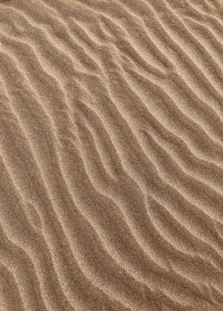 istock Wavy Lines in the sand 1453039968