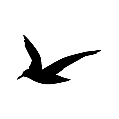 Albatross black silhouette, seabird icon - flat vector illustration isolated on white background. Shadow of flying sea or marine bird. Wildlife animal drawing.