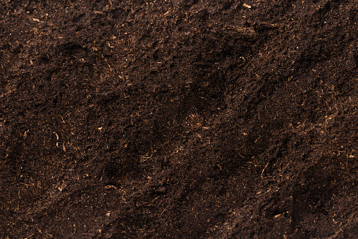 Soil for plant isolated on white background. Soil pattern.