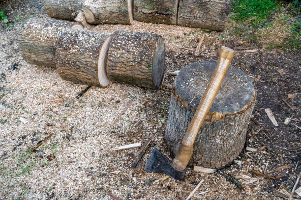 istock Photography on theme big steel axe with wooden handle 1453041955