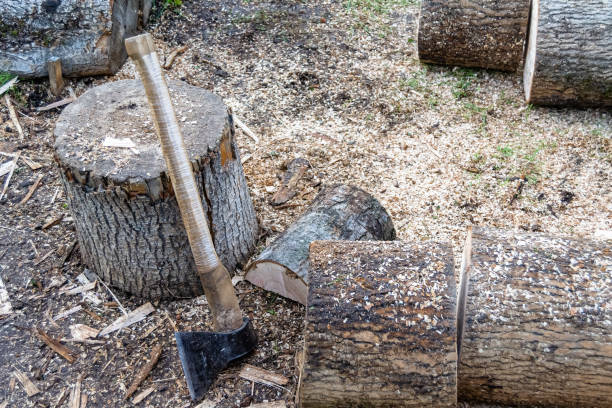 istock Photography on theme big steel axe with wooden handle 1453042019