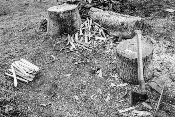 Photography on theme big steel axe with wooden handle, metal ax for wood chopping, photo old ax consisting of one axe on nature background, forged axe it main accessory male, natural ax for survival