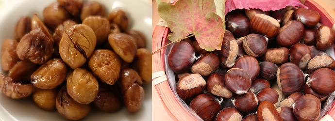 Raw chestnuts and peeled cooked chestnuts