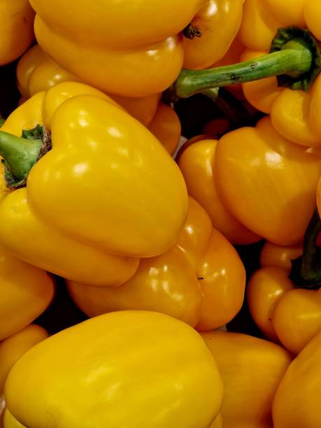 istock sweet pepper lies in the kitchen 1453043694