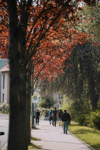 istock People walking in the park decorated with red maple trees 1453049271
