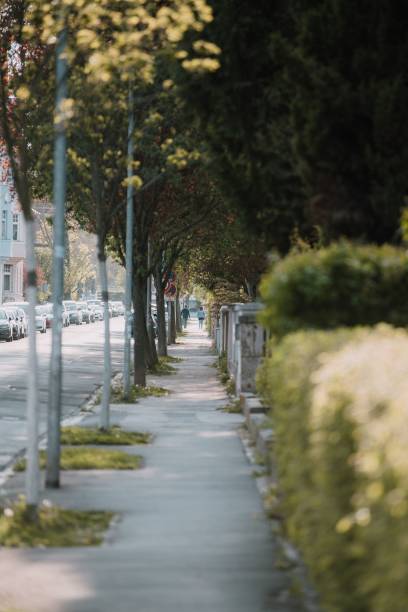 istock Vertical shot of a sidewalk surrounded by trees and plants in a daylight 1453049744