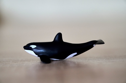 A closeup shot of a mini Orca whale toy figurine on a wooden surface with blurred background