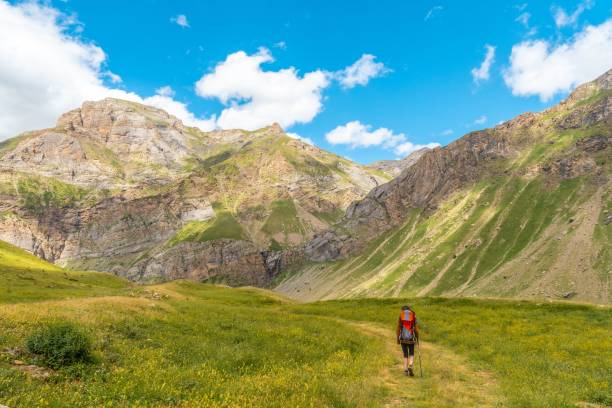 istock Young man in the mountain trekking with his son in the backpack 1453049930