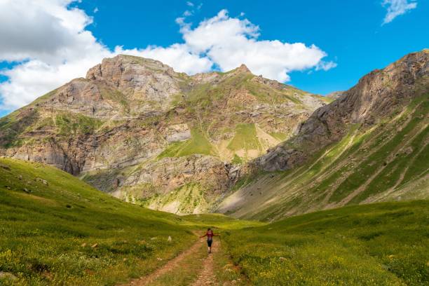 istock Young man in the mountains walking alone 1453049943