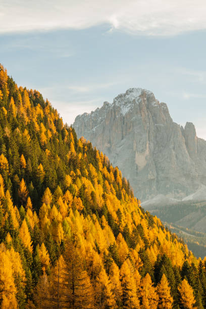 istock Scenic view of Dolomites in autumn 1453052279