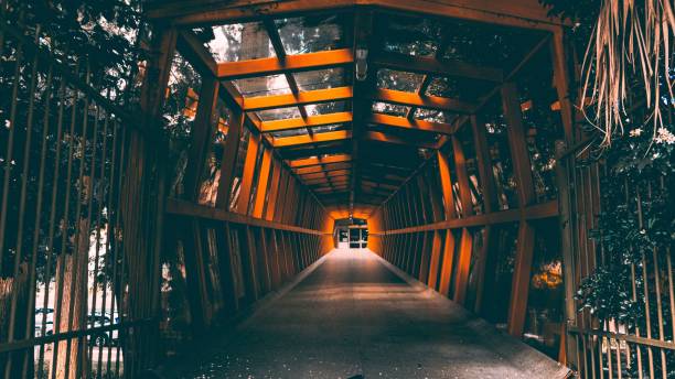 istock Pedestrian bridge with a beautiful design surrounded with trees 1453058380