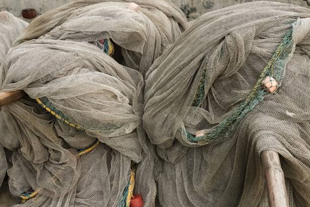 istock Closeup shot of fishing nets texture 1453062877