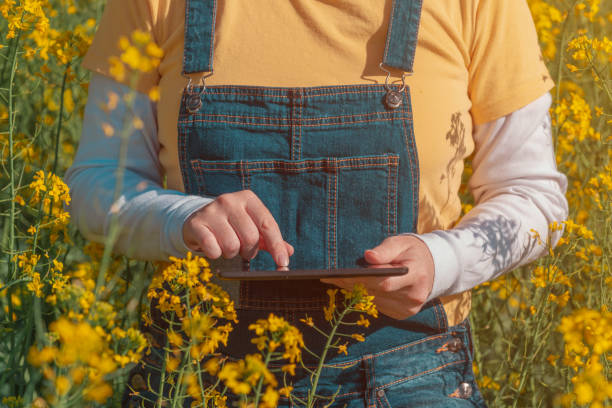 istock Female farmer using tablet in rapeseed field for digital tax record keeping 1453064281
