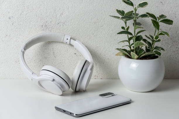 istock A smartphone, wireless headphones and a flower pot. 1453067984