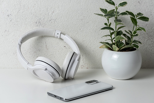 A smartphone, wireless headphones and a flower pot on a white background.