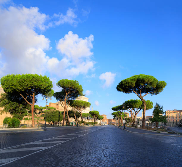 The Via dei Fori Imperiali is a road in the centre of Rome that runs in a straight line from the Piazza Venezia to the Colosseum: its course takes it over parts of Imperial Fora.