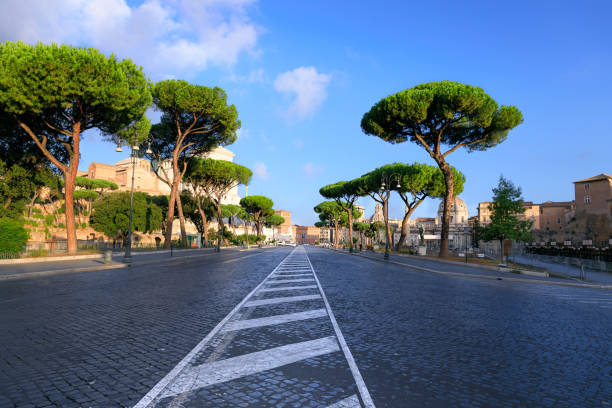 Urban street of Rome: the Via dei Fori Imperiali, Italy. The Via dei Fori Imperiali is a road in the centre of Rome that runs in a straight line from the Piazza Venezia to the Colosseum: its course takes it over parts of Imperial Fora. famous street via dei fori imperiali in rome italy stock pictures, royalty-free photos & images