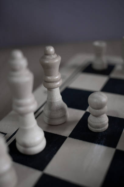istock Figure of the white queen 1453086026