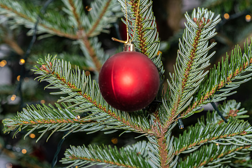 red ball ornament christmas decoration on a tree