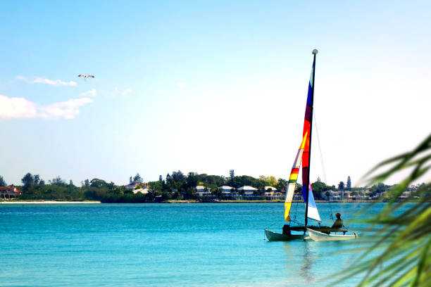 istock Colorful catamaran sailing boat on tropical seascape 1453100140