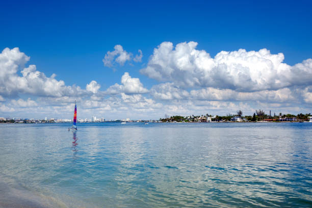 Catamaran sailing boat in Sarasota, Florida