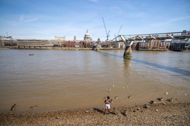 Dead poisoned fish lies on the banks of the river, environmental pollution. Danube river, Belgrade, Serbia