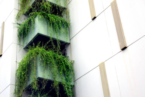 istock Green plants covered modern tall building exterior 1453101641