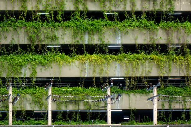 istock Green plants covered modern tall building exterior 1453101670