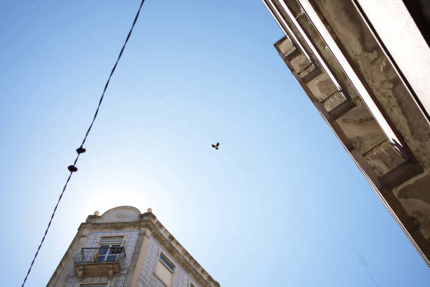 istock Distant pair of shoes hanging on wires 1453102531